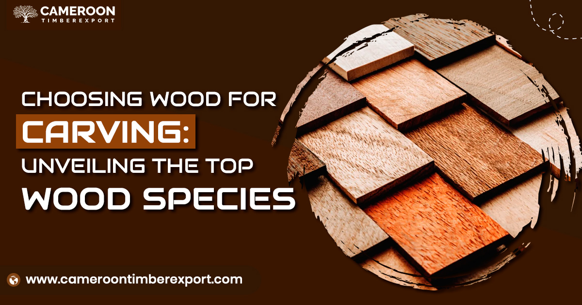 Choosing Wood for Carving : Unveiling the Top Timber Species