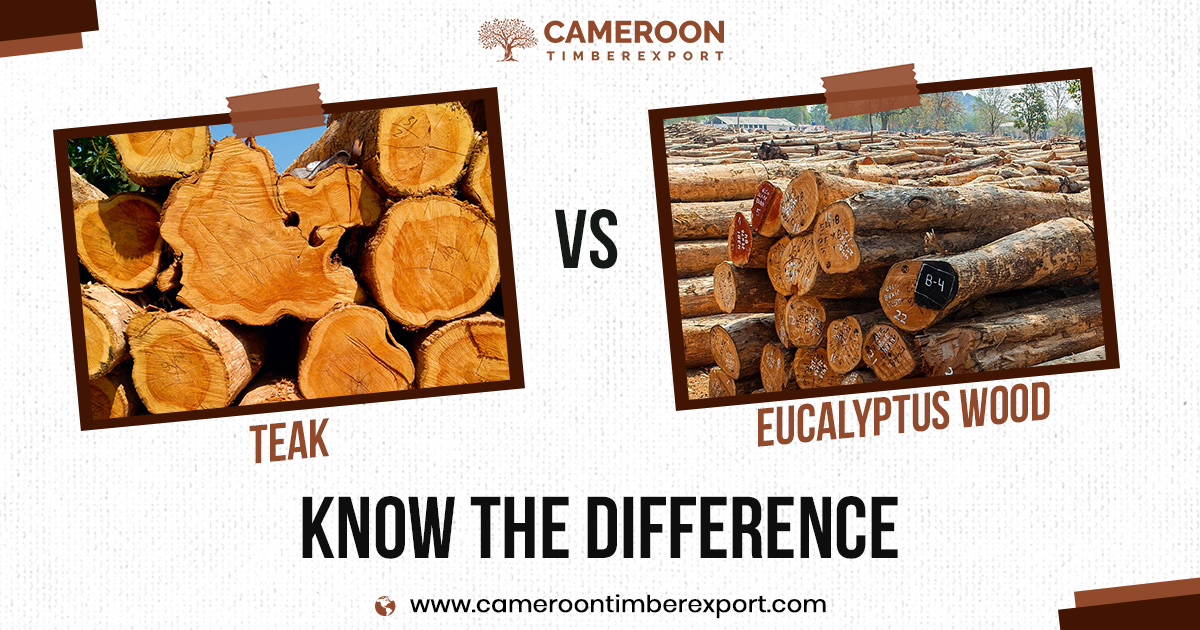 teak vs eucalyptus wood