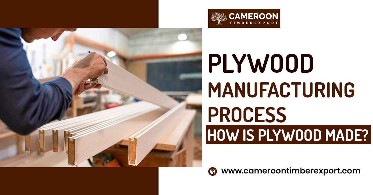 process of plywood manufacturing