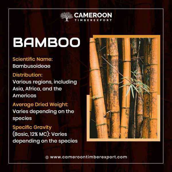 Bamboo Wood Properties