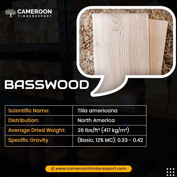 basswood properties