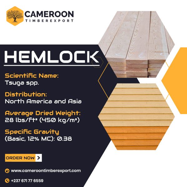 hemlock wood properties