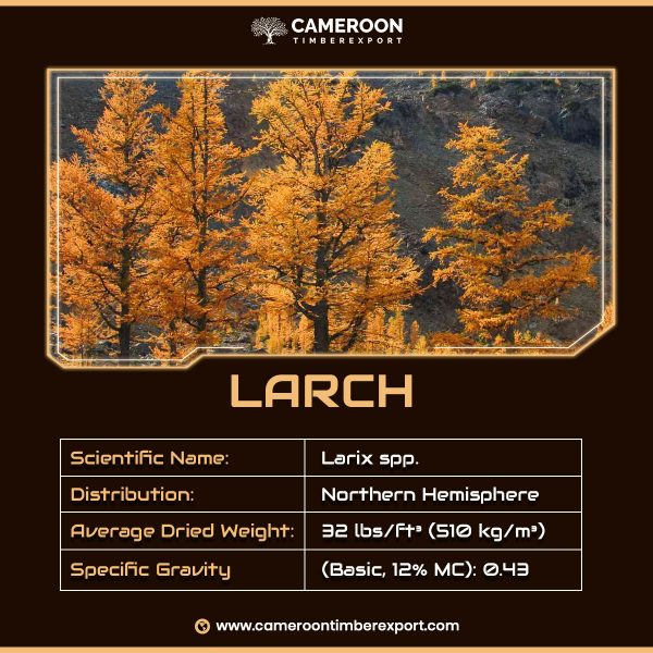 larch wood properties