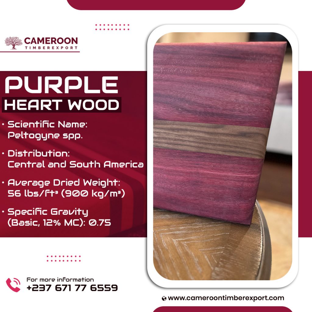 Premium Purpleheart Lumber Available at Wholesale Price
