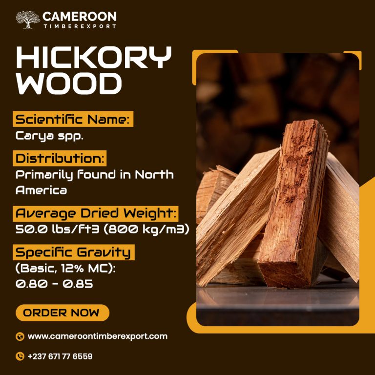 Premium Hickory Wood for Sale at Affordable Price
