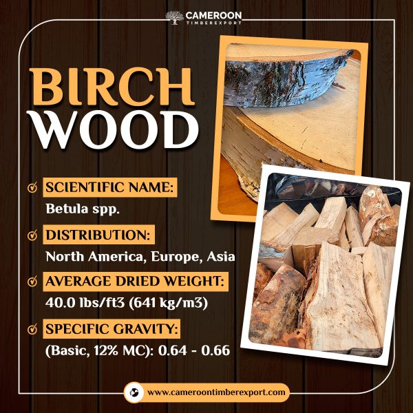Birch wood properties