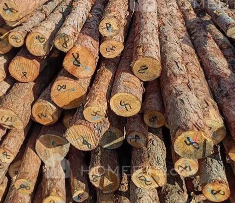 Larch Wood Logs