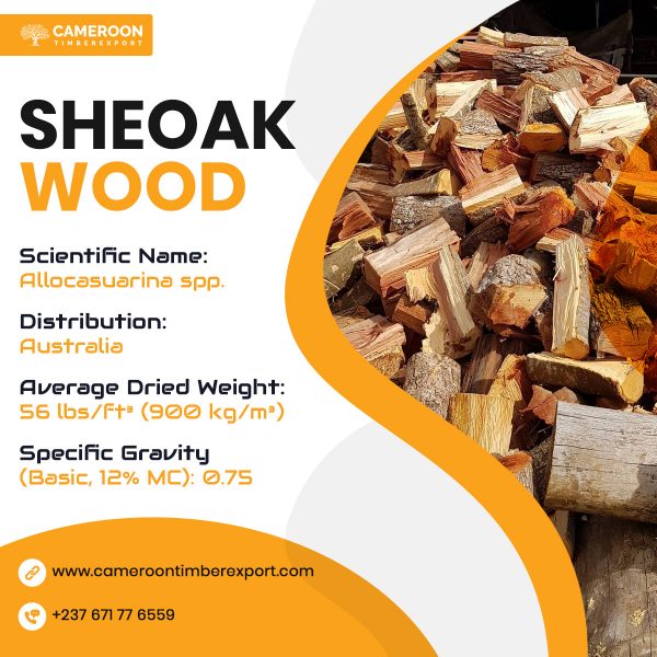 sheoak wood properties