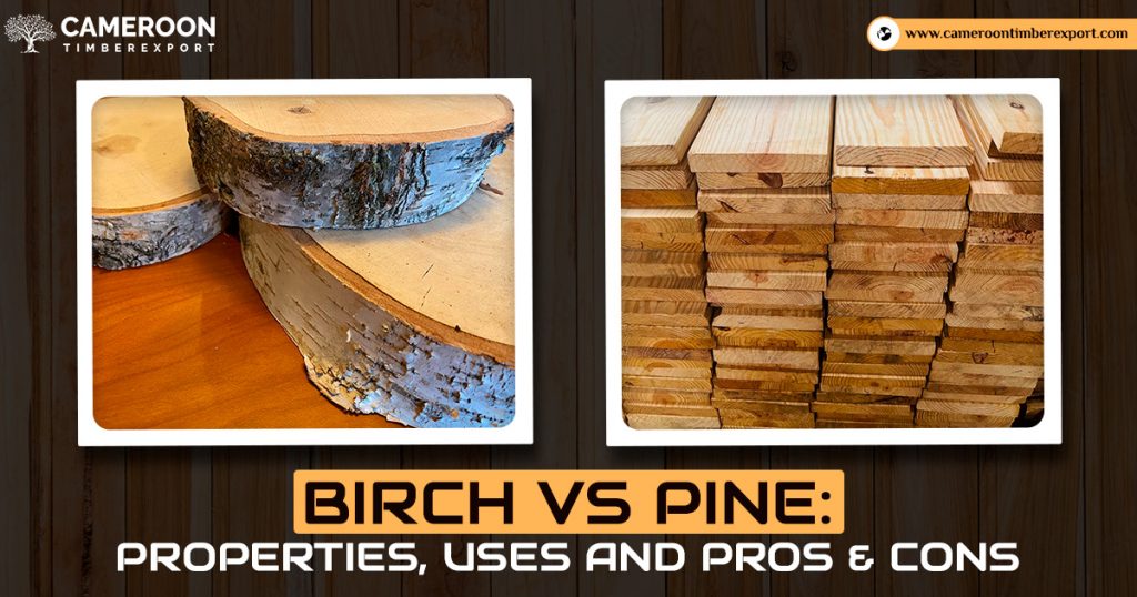 birch vs pine