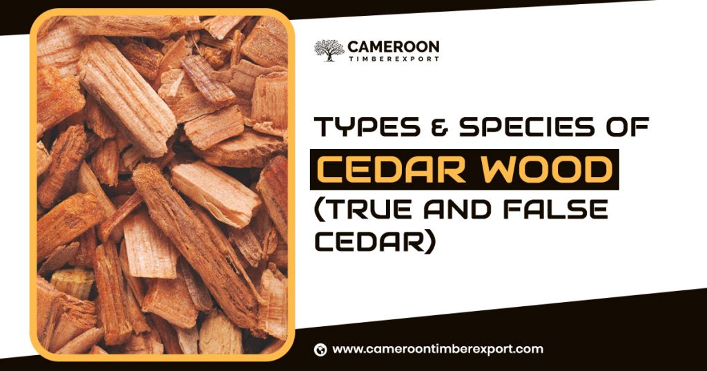 different types of cedar wood