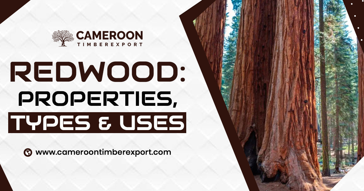 redwood types, properties and uses