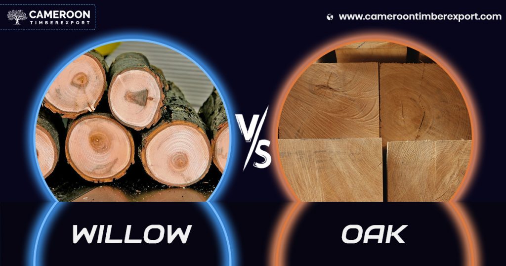 willow vs oak